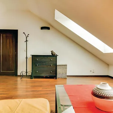 Pet Friendly In Bedzin With Kitchen