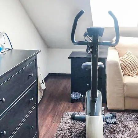 Pet Friendly In Bedzin With Wifi