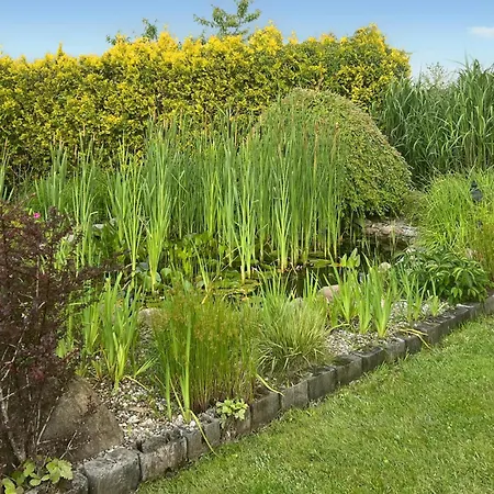 Pet Friendly In Bedzin With Wifi Prázdninový dům