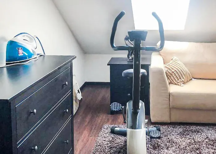 Pet Friendly In Bedzin With Wifi